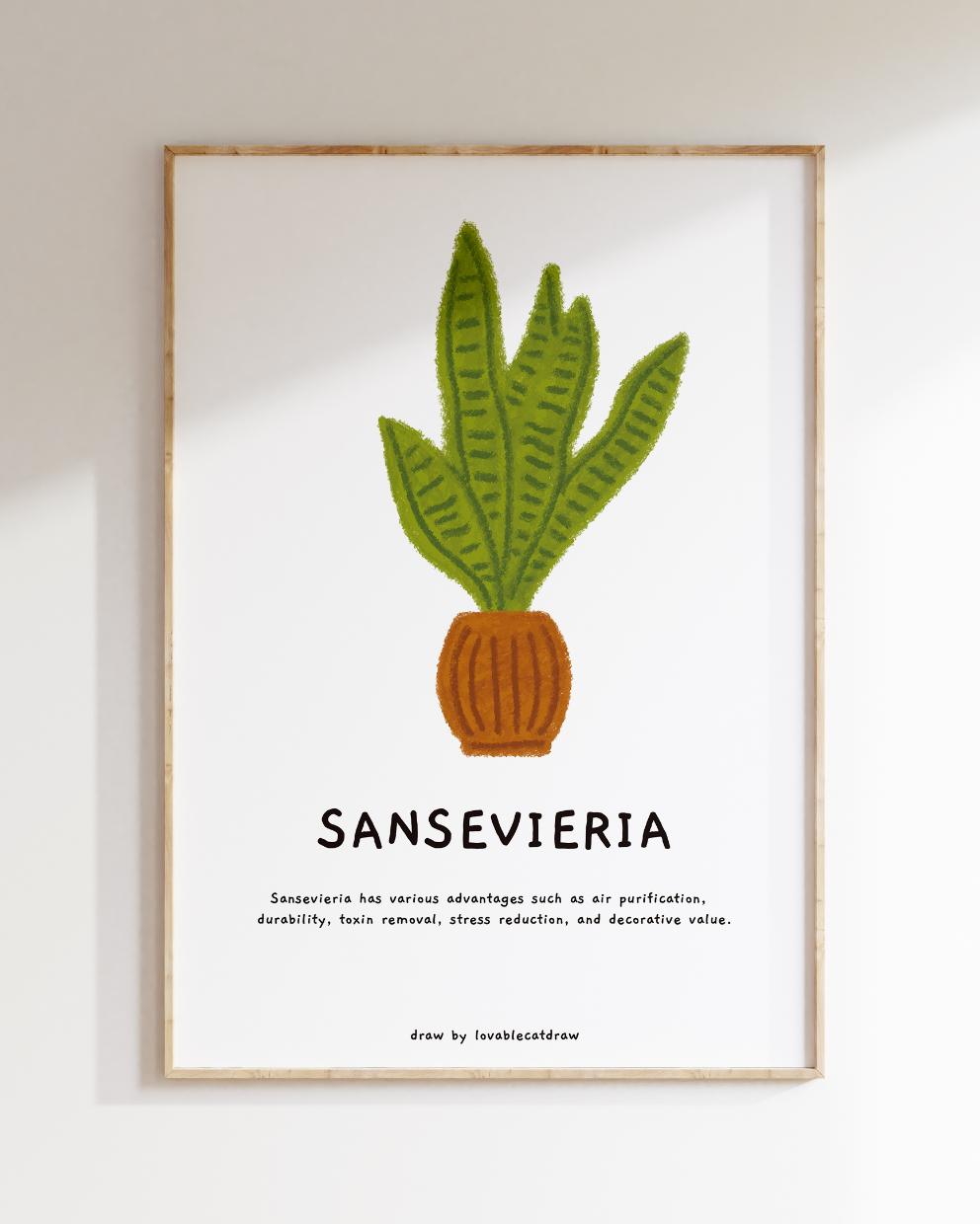 산세베리아 핸드드로잉 포스터 Sansevieria Hand Drawing Poster Wall Art