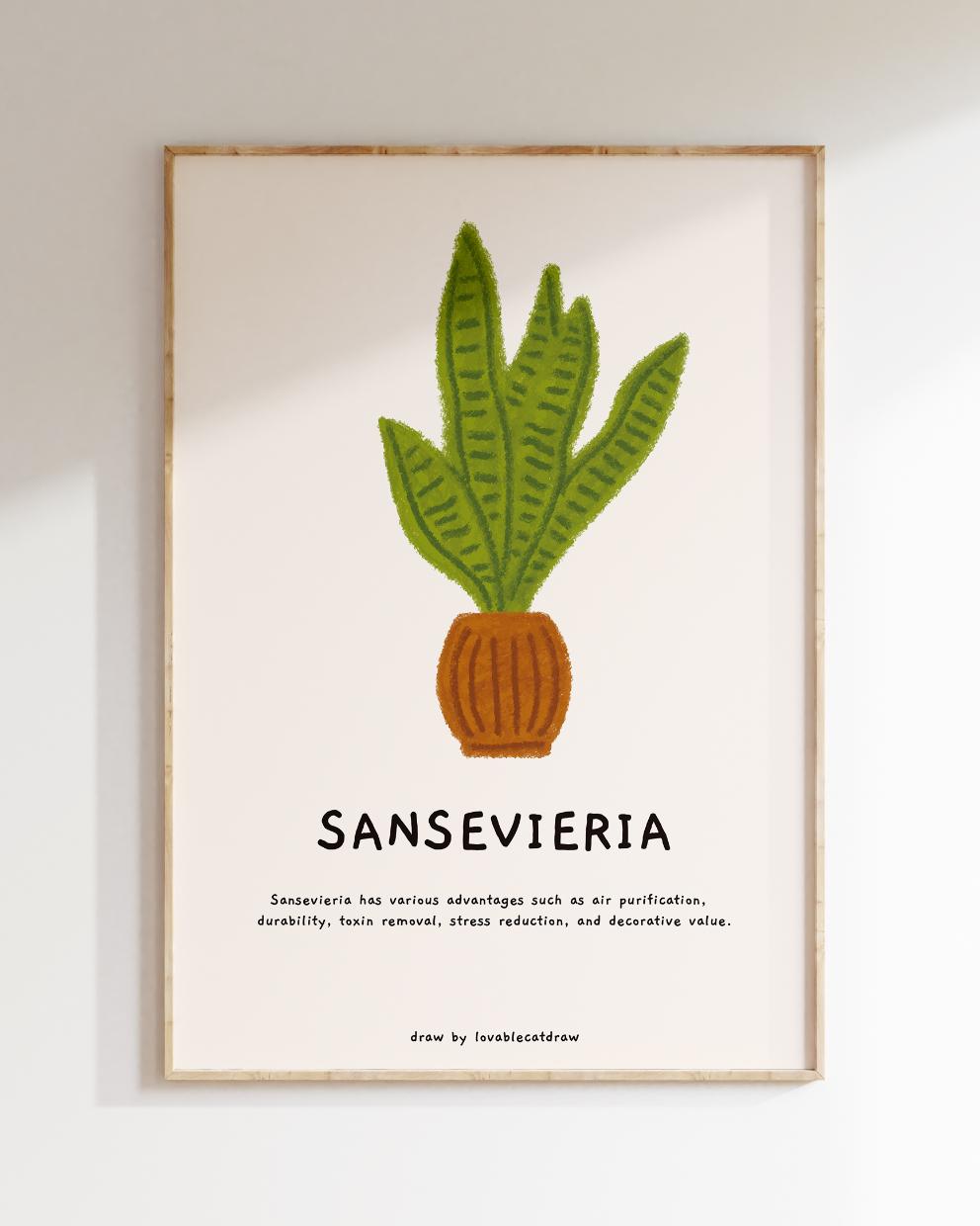 산세베리아 핸드드로잉 포스터 Sansevieria Hand Drawing Poster Wall Art