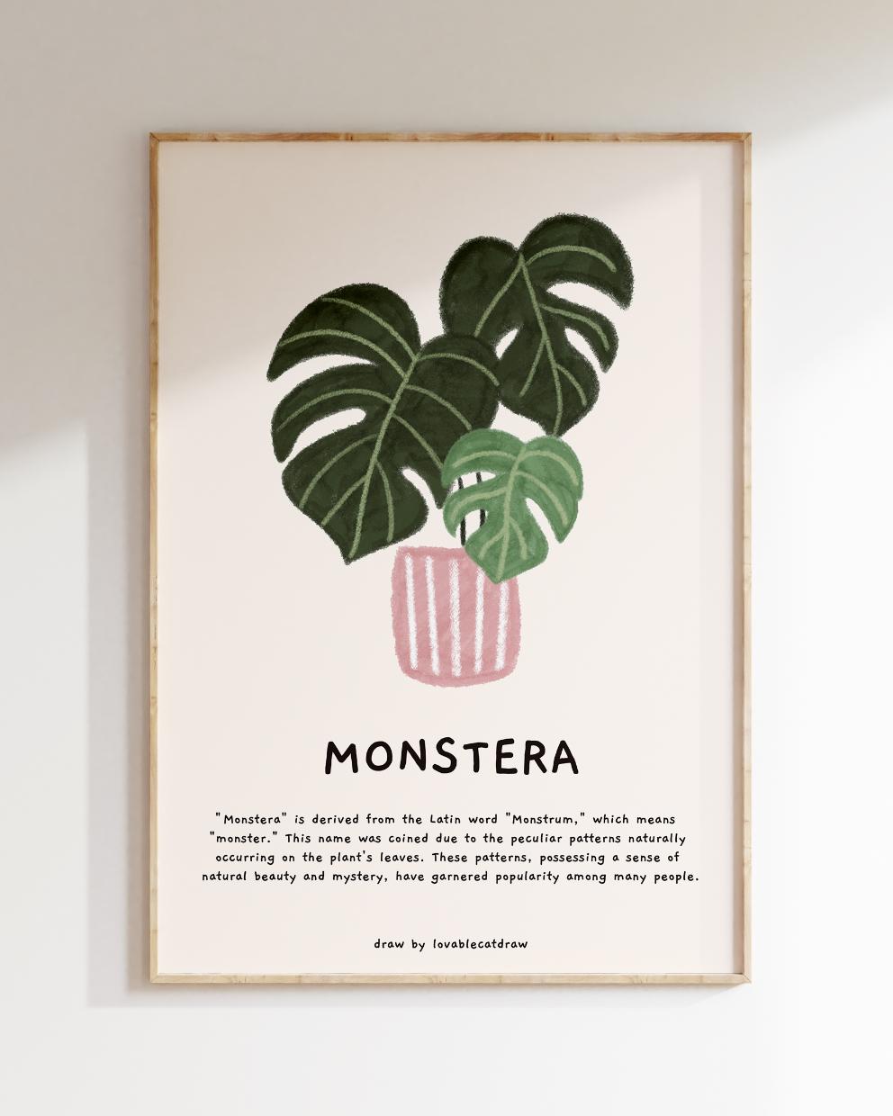 몬스테라 드로잉 포스터 Monstera Drawing Poster Wall Art