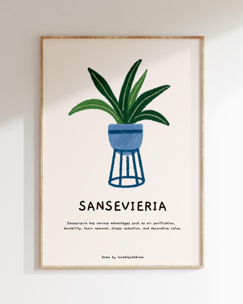 산세베리아 핸드드로잉 포스터 Sansevieria Hand Drawing Poster Wall Art