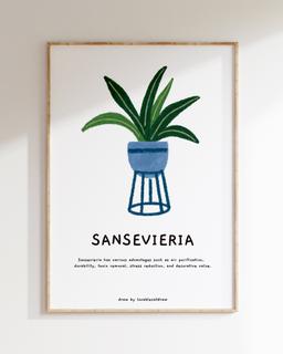 산세베리아 핸드드로잉 포스터 Sansevieria Hand Drawing Poster Wall Art